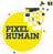 Pixel Humain